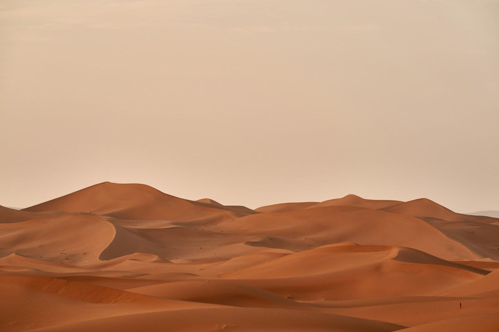 قطعة الأرض والمنطقة المحيطة بها